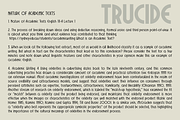 Trucide font family, a Sans Serif Font by vlad.berla (Thumbnail 7 of 7)
