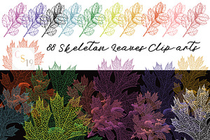 88 Skeleton Leaves PNG