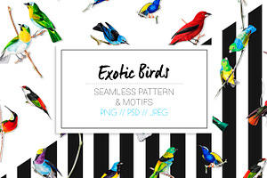 Exotic Birds - Seamless Pattern