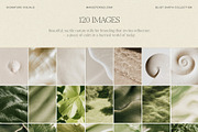 120 Calm Nature Texture Backgrounds, a Background Graphic by Make Stories Studio (Thumbnail 6 of 13)