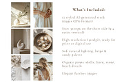 Summer stock photo set 12 images, a Nature Photo by Yulia Furman (Thumbnail 2 of 5)