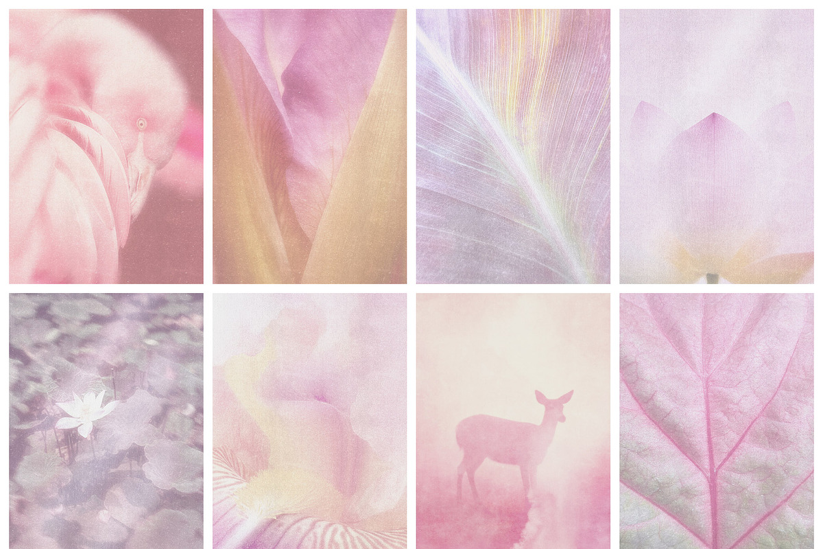 Rosewater Dreamy Pastel Backgrounds, a Background Graphic by alonahaidash (Photo 13 of 16)