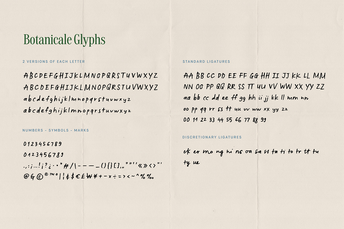 Botanicale | Handwritten Font, a Handwritten Font by type peace (Photo 17 of 18)