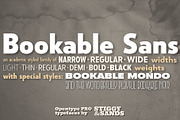 Bookable Sans Collection, a Sans Serif Font by Stiggy & Sands (Thumbnail 1 of 12)