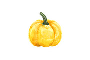 Watercolor Pumpkin Patch Bundle Art, an Illustration by BIPLOB EXPERT (Thumbnail 10 of 13)