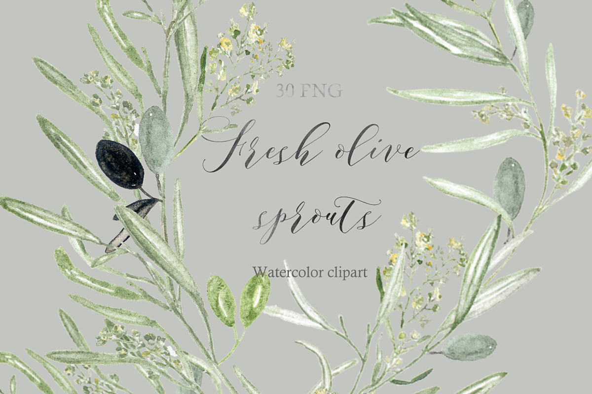 Olive Branch Wreaths clipart, an Illustration by LABFcreations (Photo 4 of 5)