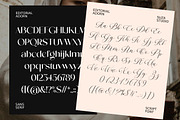 Editorial Adorn, a Script Font by Suza Studio (Thumbnail 13 of 14)