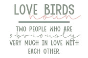 Little Love Birds Font Duo, a Script Font by Dansie Design (Thumbnail 6 of 7)