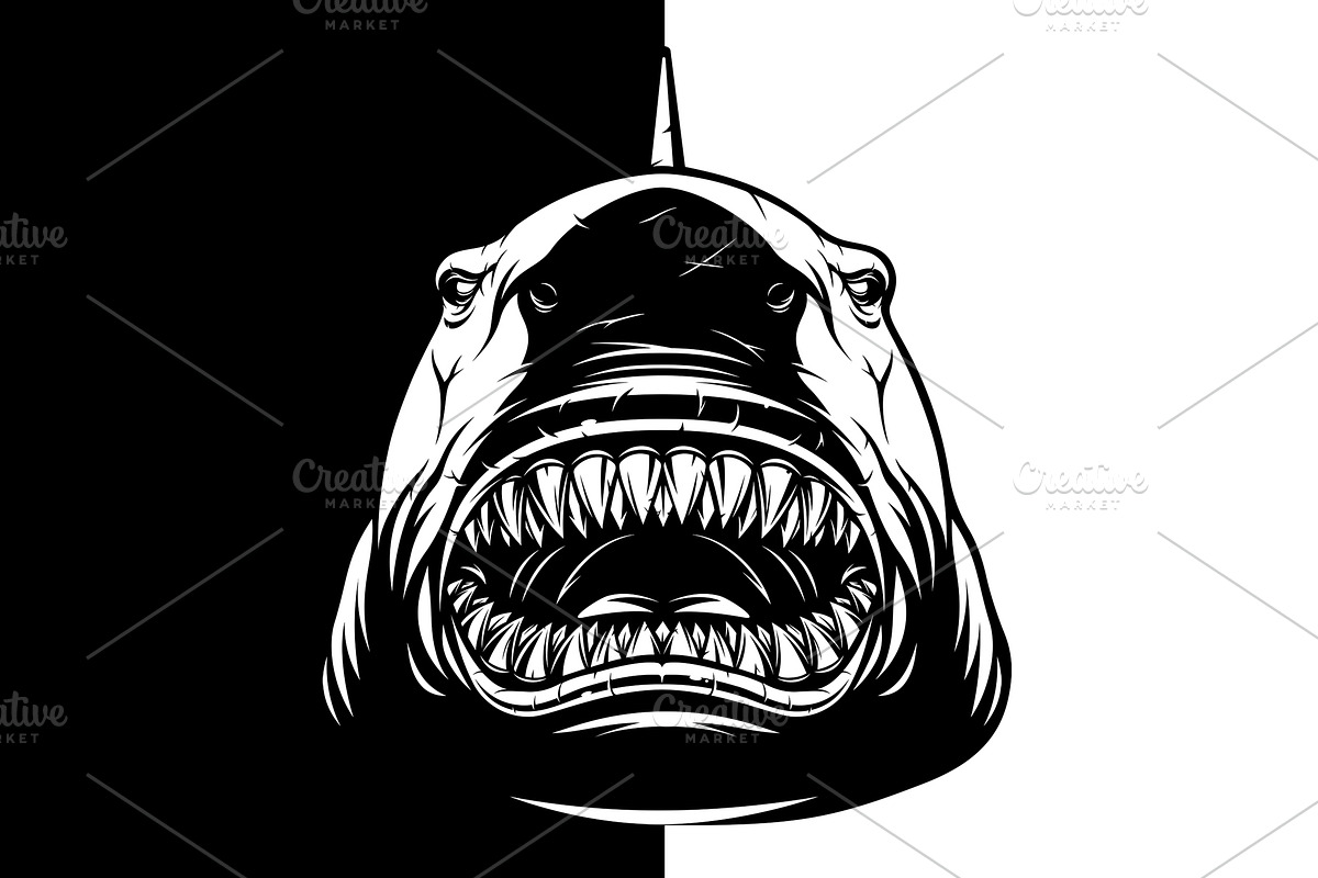 Ferocious shark's head, an Animal Illustration by Mark2000