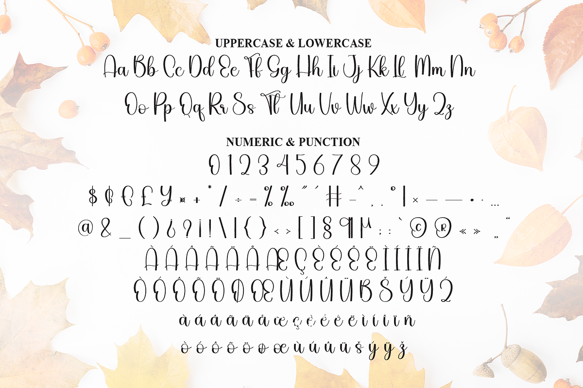 Thanksgiving | Script Font, a Handwritten Font by Scratchones (Photo 7 of 9)