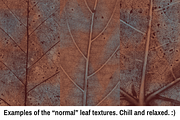 Leaf Texture Pack - Earthy Goodness!, a Texture Graphic by Matt Borchert (Thumbnail 6 of 6)