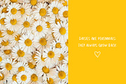 Thanks For The Love Font, a Sans Serif Font by Lollipop Hand Drawn (Thumbnail 2 of 4)