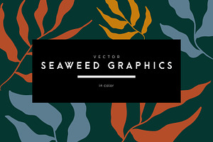 Vector Seaweed Graphics