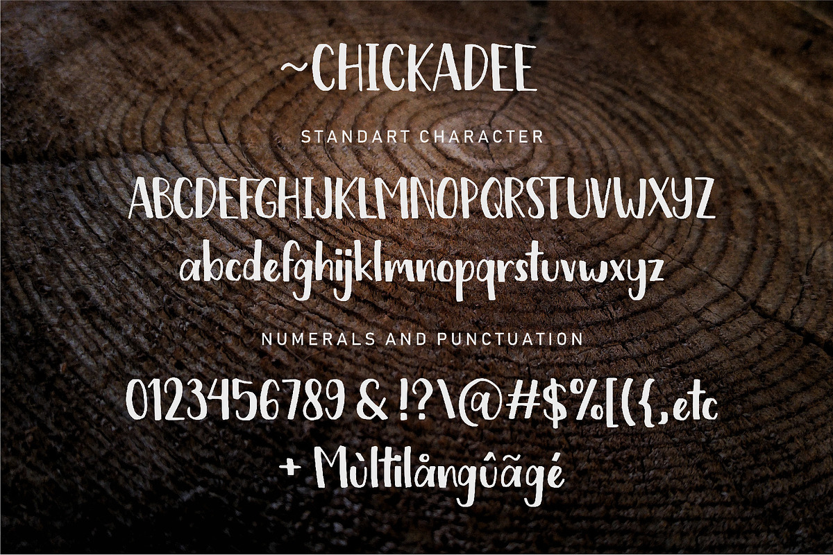 Chickadee - A Handwritten Font preview 6