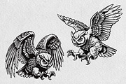 Owl Illustration Pack, an Animal Illustration by Tekuni (Thumbnail 4 of 12)