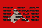 Cardinel - Bold Font, a Sans Serif Font by limitype (Thumbnail 6 of 13)