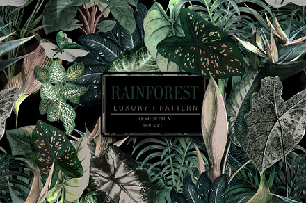 RainForest (Foliage Pattern), a Wallpaper Graphic by Luiz da Rolt Grathwohl