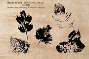 Hand-crafted Herbal Imptints, an Object Graphic by Dervik Art Store (Thumbnail 5 of 10)