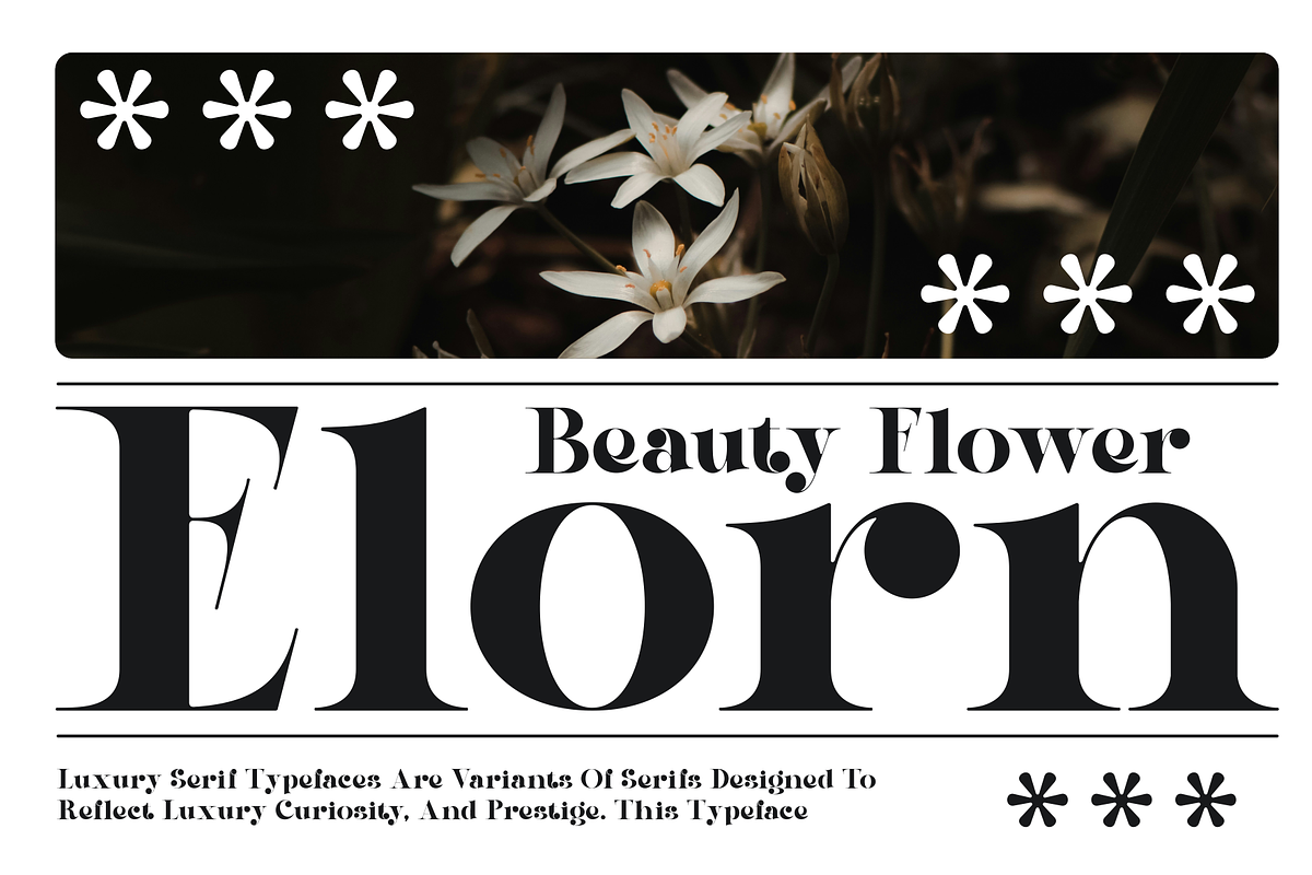Qeira - Elegant Serif Typeface, a Serif Font by MaikoHatta (Photo 2 of 8)