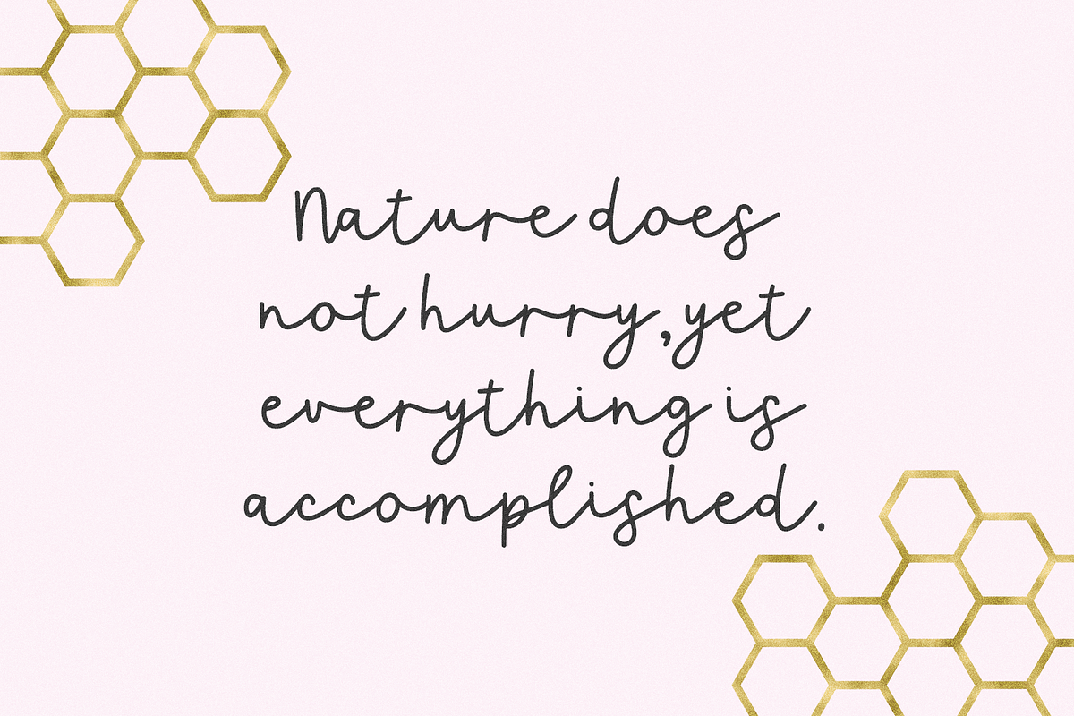 Queen Bee Script Font, a Script Font by Beck McCormick (Photo 6 of 10)