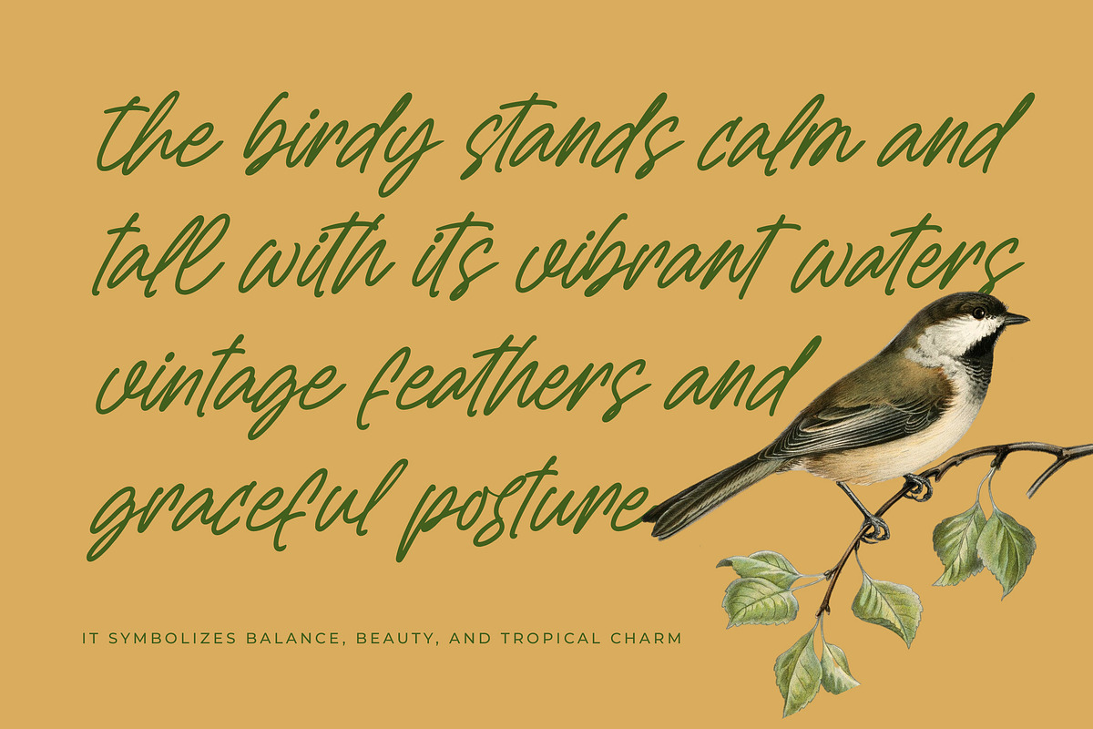 Sejatty Gartena Aesthetic Font, a Script Font by Letterena Studios Script (Photo 10 of 15)