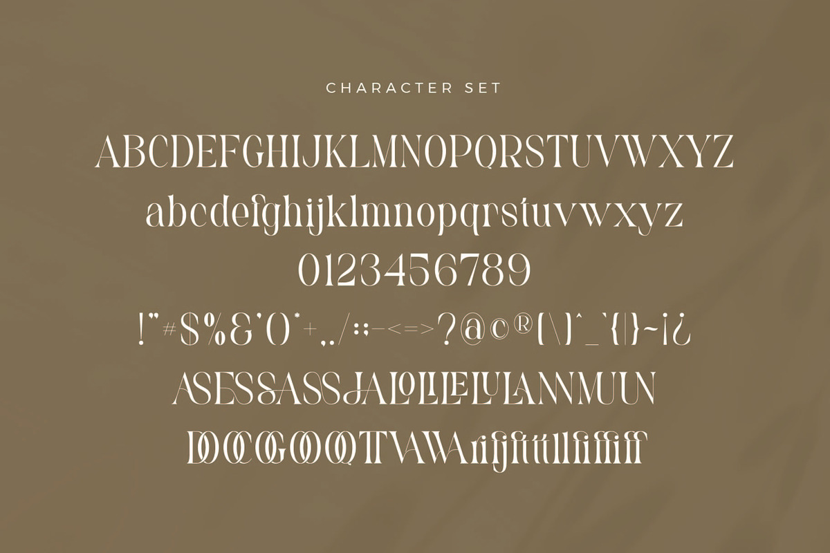 Vannesa - Classy Serif Font, a Serif Font by Aqeel_Art (Photo 8 of 9)