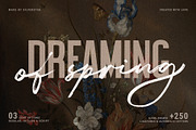Dreaming Of Spring Stylish Font Duo, a Sans Serif Font by SilverStag Type Foundry (Thumbnail 23 of 23)