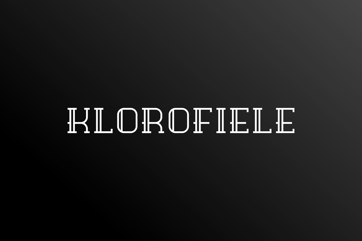 Hibedre, a Slab Serif Font by garismantra (Photo 4 of 4)