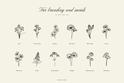 FLORIST'S line art illustrations, a Decorative Illustration by Crocus Paperi (Thumbnail 3 of 6)