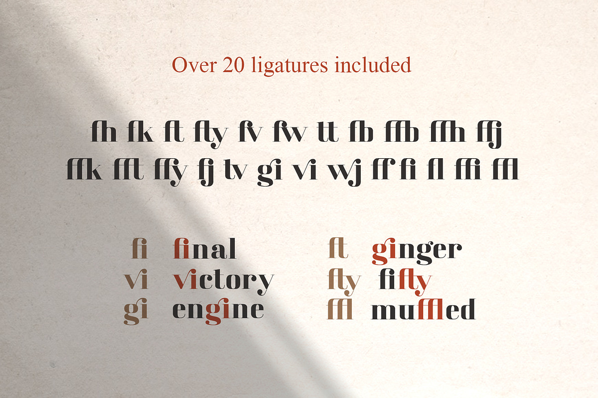America Serif Font Family, a Serif Font by Anna Zakharchenko (Photo 9 of 13)