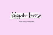 Blossom Breeze Script, a Handwritten Font by Beck McCormick (Thumbnail 1 of 10)