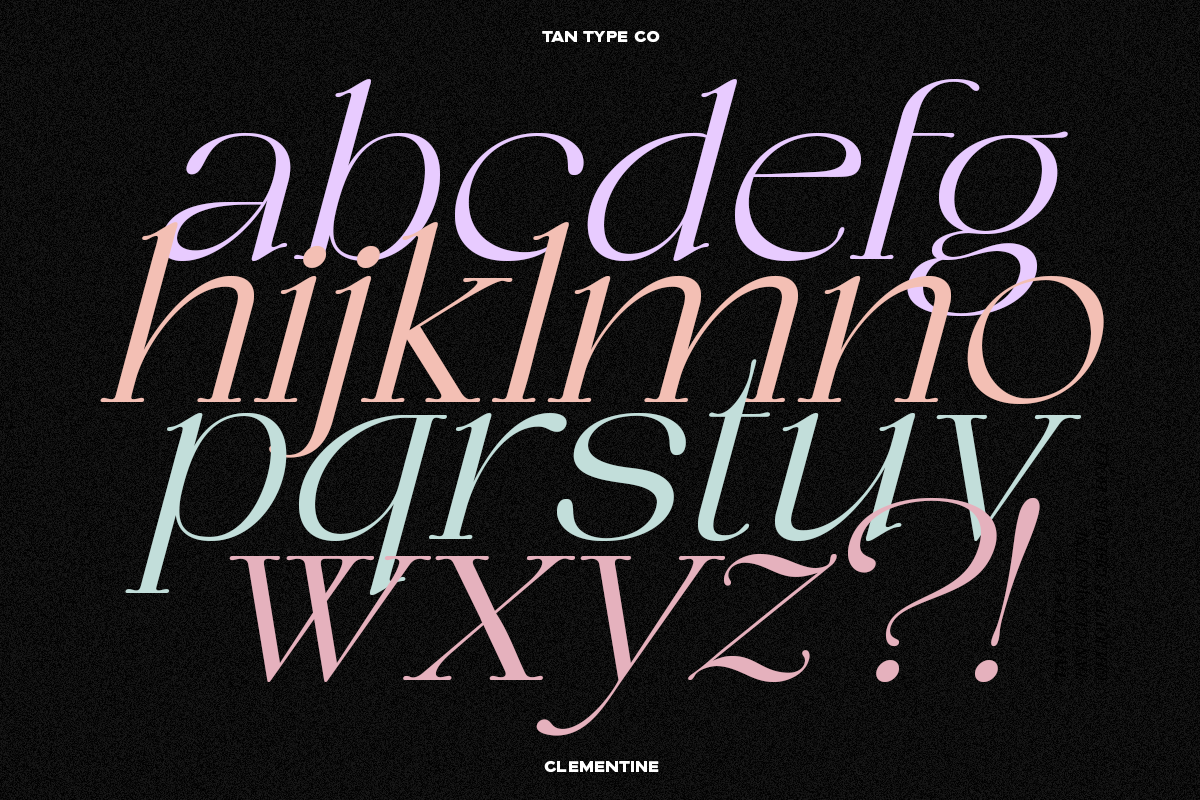 TAN - CLEMENTINE, a Serif Font by TanType (Photo 6 of 20)