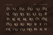 Caner Elegant Ligature Serif Font, a Serif Font by Perfectype (Thumbnail 8 of 8)