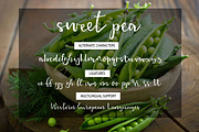 Sweet Pea - Handmade Script Font, a Script Font by Inksnthings (Thumbnail 11 of 13)