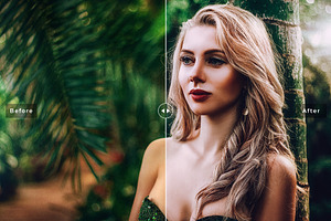 Fantasy Dark Professional Presets