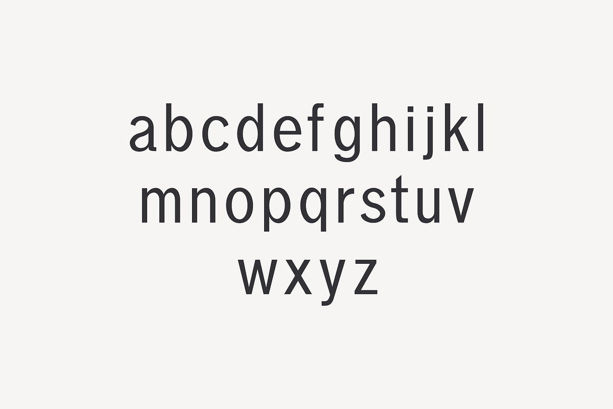 Varina Sans Serif Font Family preview 3