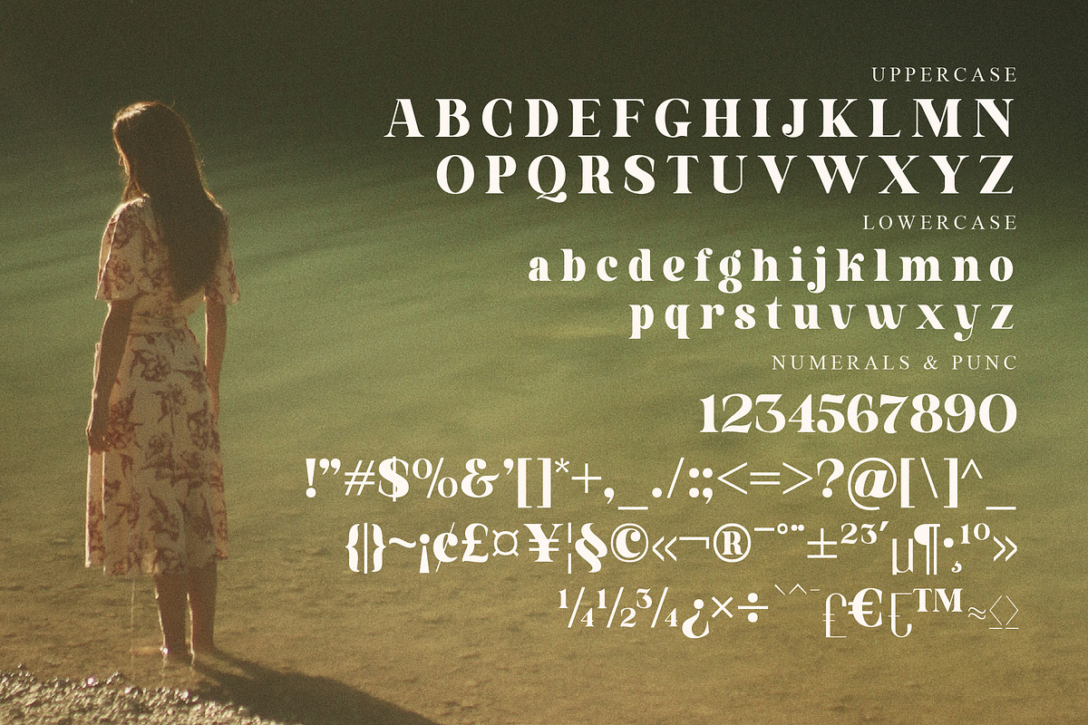 Aloka Gikairo Modern Serif Font, a Serif Font by Storytype Studio (Photo 13 of 15)