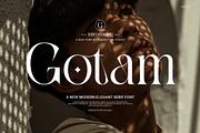 Gotam Elegant Serif Font, a Serif Font by Perfectype (Thumbnail 1 of 8)