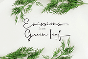 Merry Hamida, a Script Font by GRAPHICPRESS (Thumbnail 3 of 9)