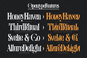Ratib – Modern Serif Font, a Serif Font by RedyStudio (Thumbnail 4 of 14)