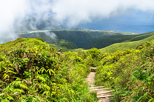 Hiking trail on Mount Pelee volcano in Martinique, a Nature Photo by Leonid Andronov
