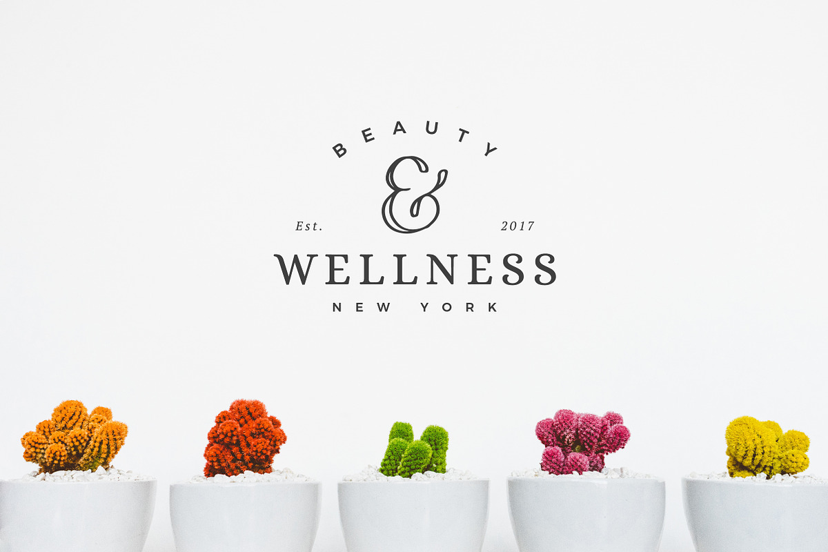 25 Delicate Feminine Logos - Vol 1, a Branding & Logo Template by Davide Bassu (Photo 6 of 6)