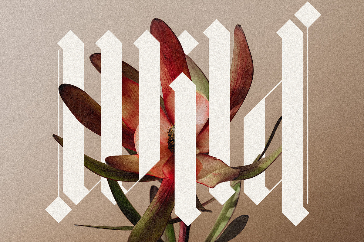 Rymaki - Modern Blackletter Font, a Blackletter Font by SilverStag Type Foundry (Photo 17 of 30)