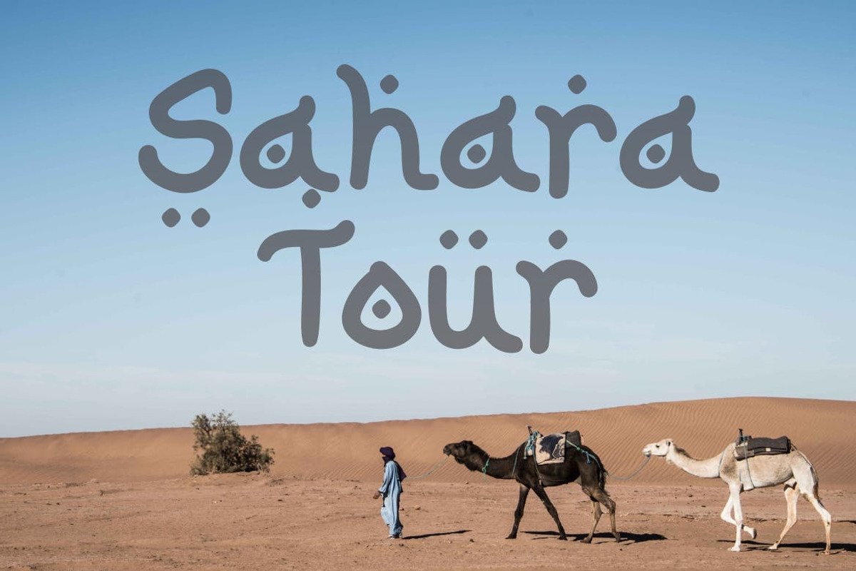 Musandam - Arabic look font, a Script Font by TokoPress (Photo 3 of 10)