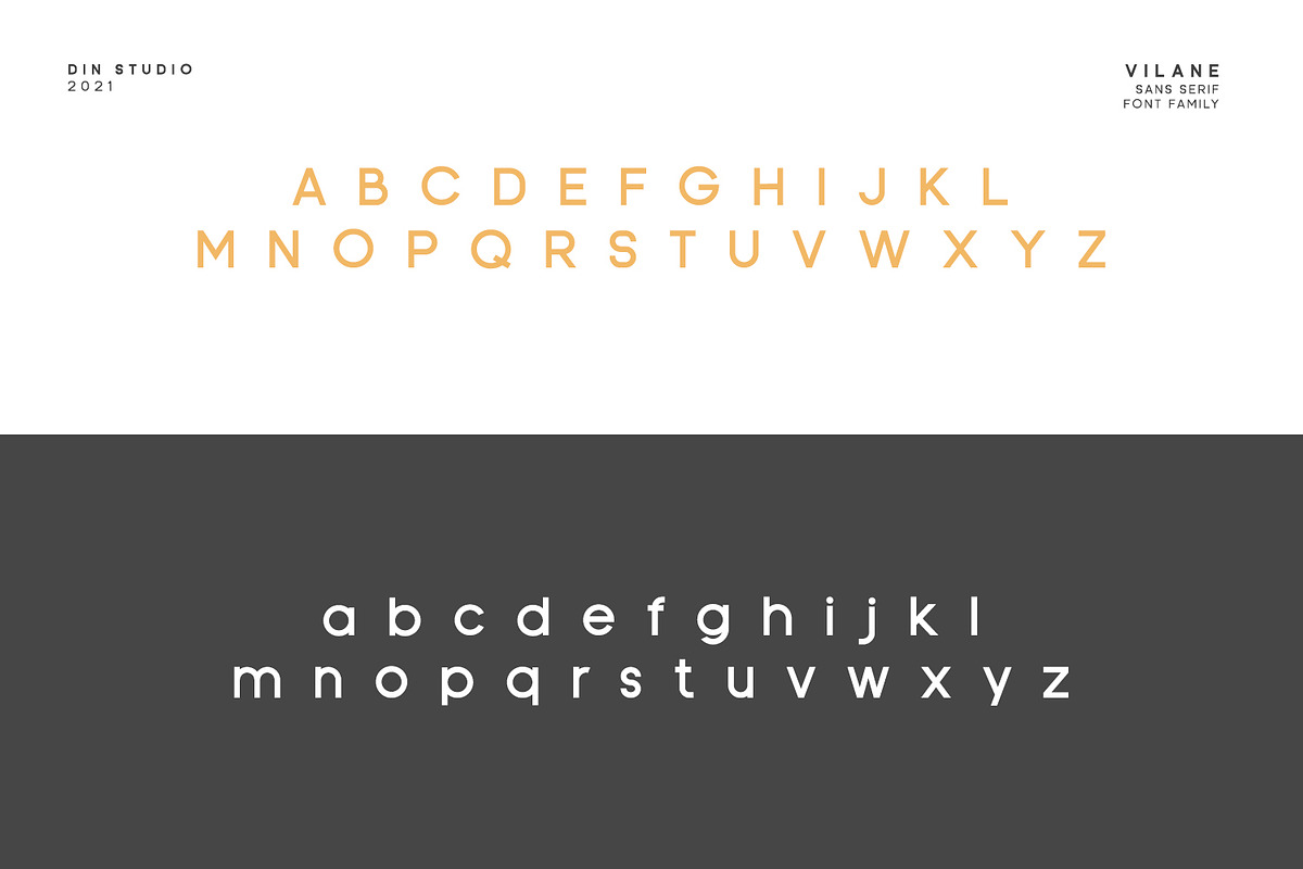 Vilane, a Script Font by din-studio.com (Photo 8 of 11)