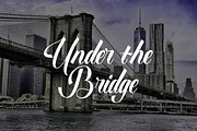 New York Script Font, a Script Font by Muntab_Art (Thumbnail 8 of 10)