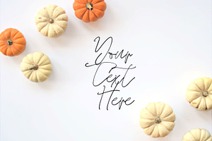 Fall pumpkin stock photo containing fall flat lay, fall stock photo, and