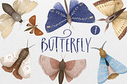 Hand-drawn Butterfly & Moon Moth, an Animal Illustration by the_myro (Thumbnail 1 of 5)