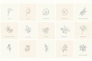 Botanical Hand Drawn Designs, Logos