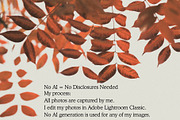 Film Inspired Autumn Backgrounds, a Background Photo by CreatingYOU.®, Lori Rice (Thumbnail 5 of 5)